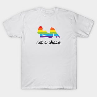 Not A Phase LGBT Pride T-Shirt